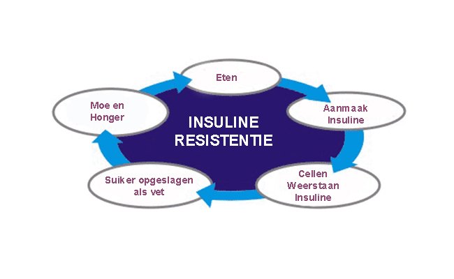 Insulineresistentie veroorzaakt PCOS, Acne, maakt dik en oud 2