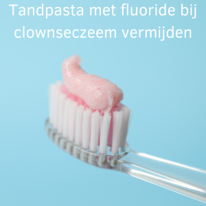 Tandpasta met fluoride bij clownseczeem vermijden